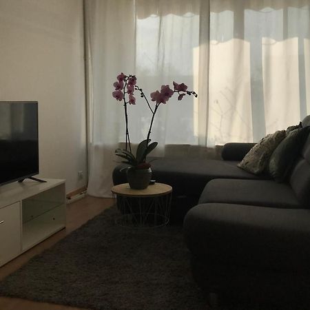 Bel Appartement Near Bale Mulhouse Airport Saint-Louis  Exterior photo