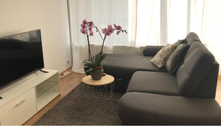 Bel Appartement Near Bale Mulhouse Airport Saint-Louis  Exterior photo