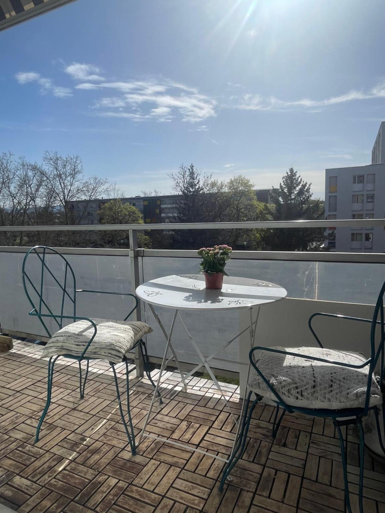 Bel Appartement Near Bale Mulhouse Airport Saint-Louis  Exterior photo