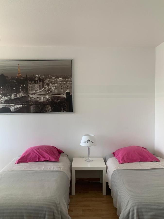 Bel Appartement Near Bale Mulhouse Airport Saint-Louis  Exterior photo